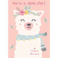 Pink Llama Gift Enclosures