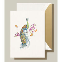 Peacock Boxed Folded Note Cards