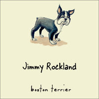 Boston Terrier Gift Tag on Recycled Stock or Vinyl Label