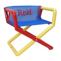 Blue Mesh Junior Director Chair with Primary Frame
