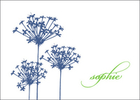 Queen Ann's Lace Petite Foldover Note Cards