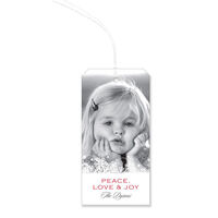 Frosty Flakes Holiday Photo Hanging Gift Tags