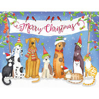 Merry Christmas From Pets Holiday Cards