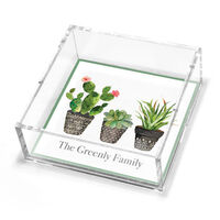 Southwest Potted Garden Petite Lucite Trinket Tray