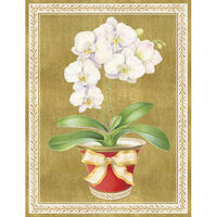 Orchid in a Pot Holiday Cards
