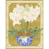 Amaryllis in Cachepot Holiday Cards